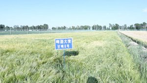 内部绝密信封料39