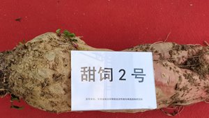 内部绝密信封料39