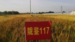 内部绝密信封料39