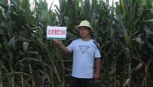 内部绝密信封料39