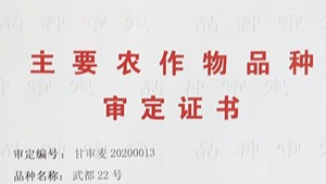 内部绝密信封料39