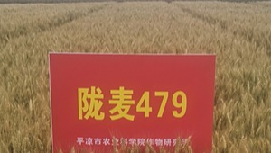内部绝密信封料39