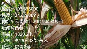 内部绝密信封料39