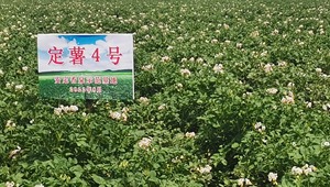 内部绝密信封料39