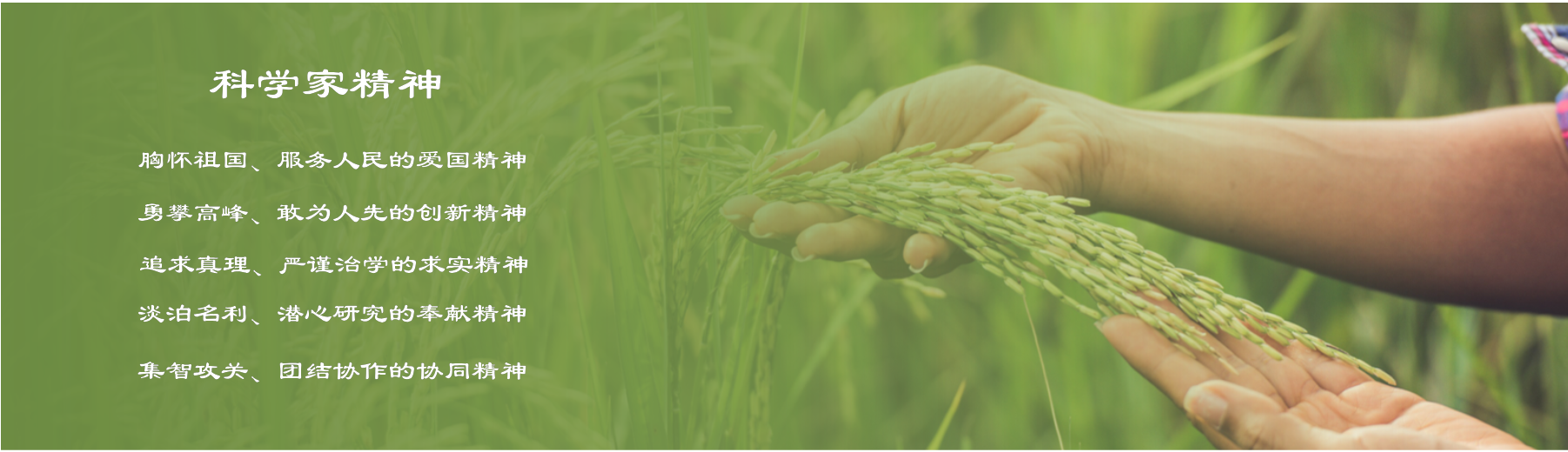 内部绝密信封料39