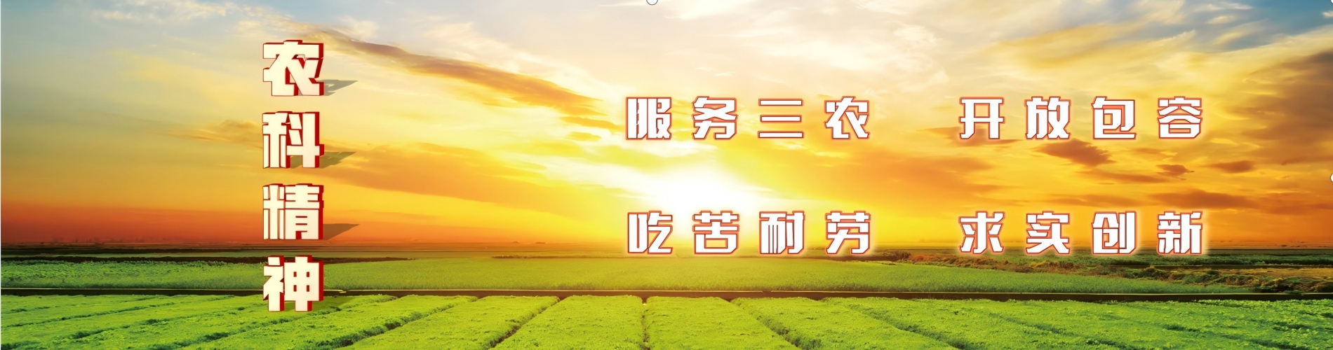 内部绝密信封料39