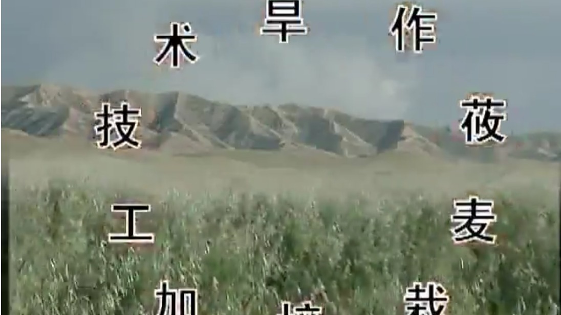 旱作莜麦栽培加工技术