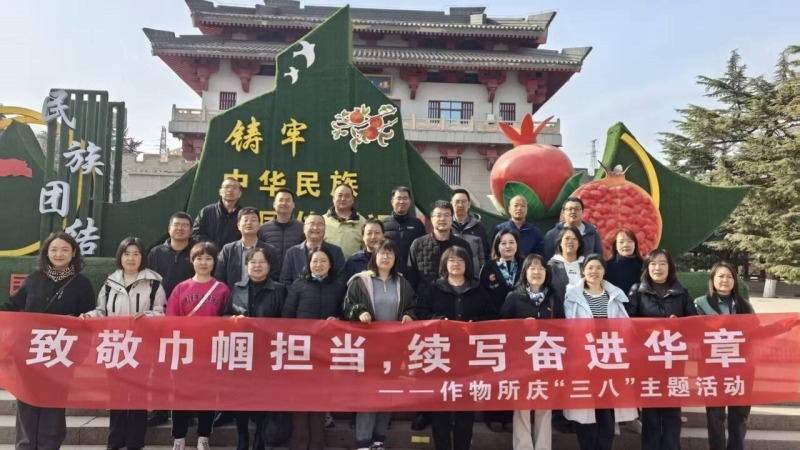 内部绝密信封料39