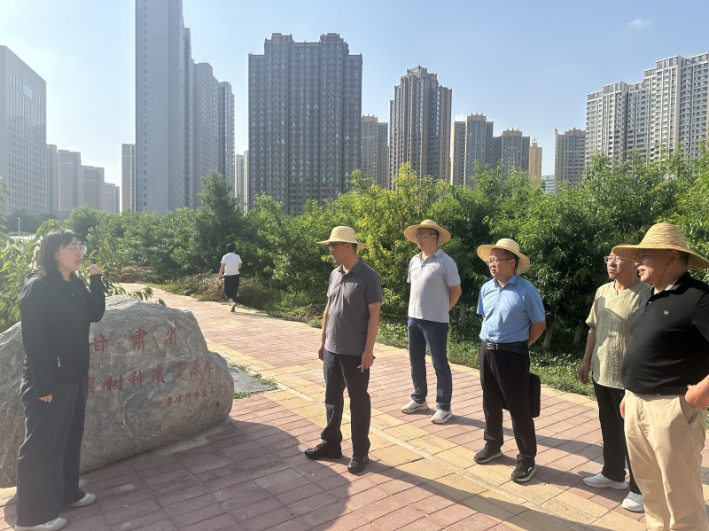 内部绝密信封料39