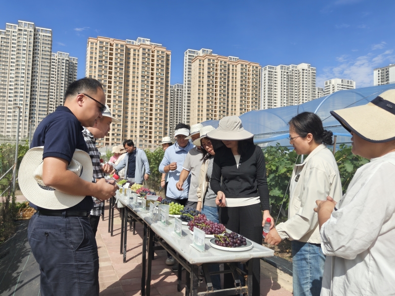 内部绝密信封料39