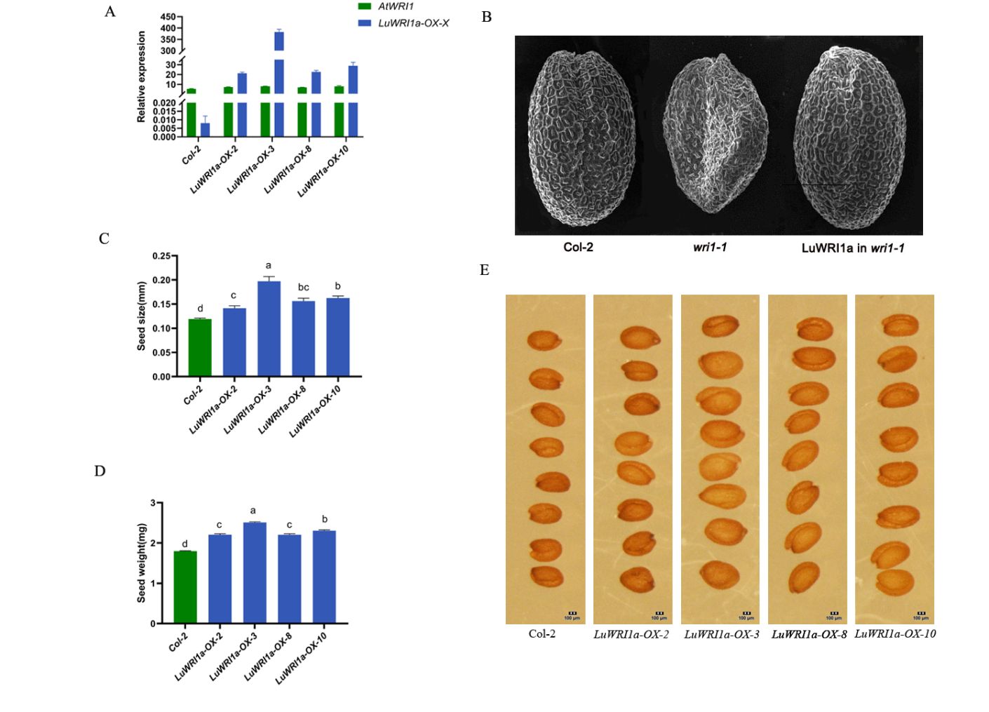 内部绝密信封料39