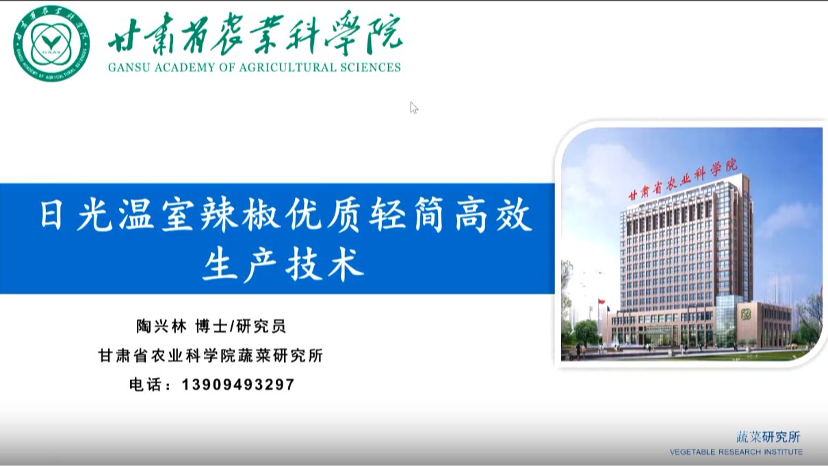 日光温室辣椒优质轻简高效生产技术