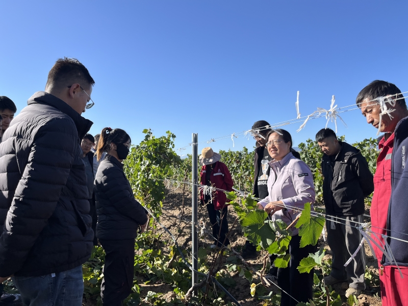 内部绝密信封料39