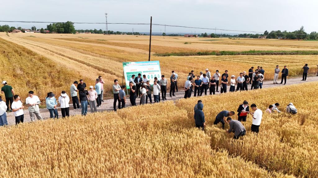 内部绝密信封料39