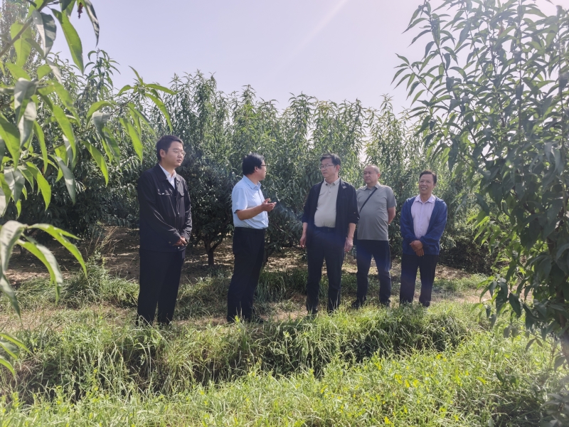 内部绝密信封料39