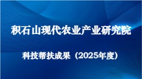 积石山现代农业产业研究...