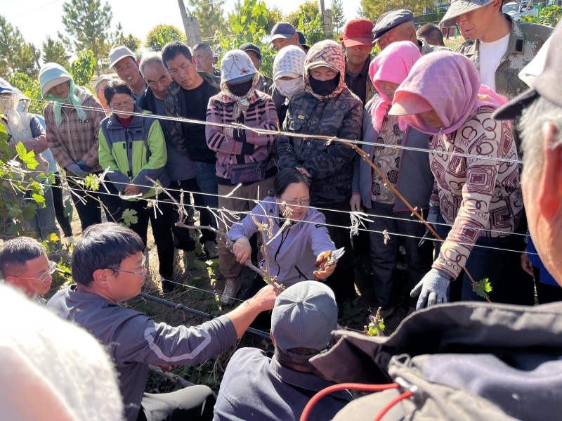 内部绝密信封料39