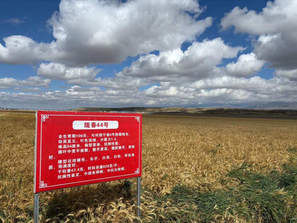 内部绝密信封料39