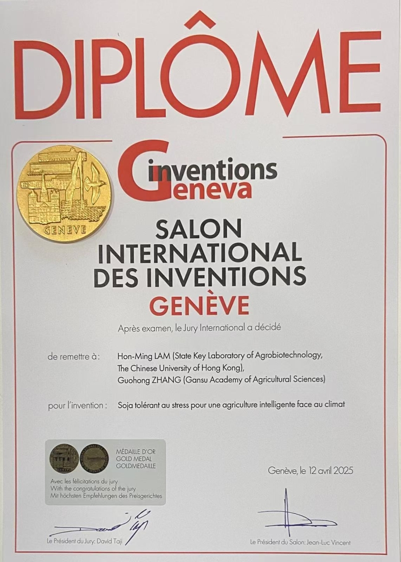 内部绝密信封料39