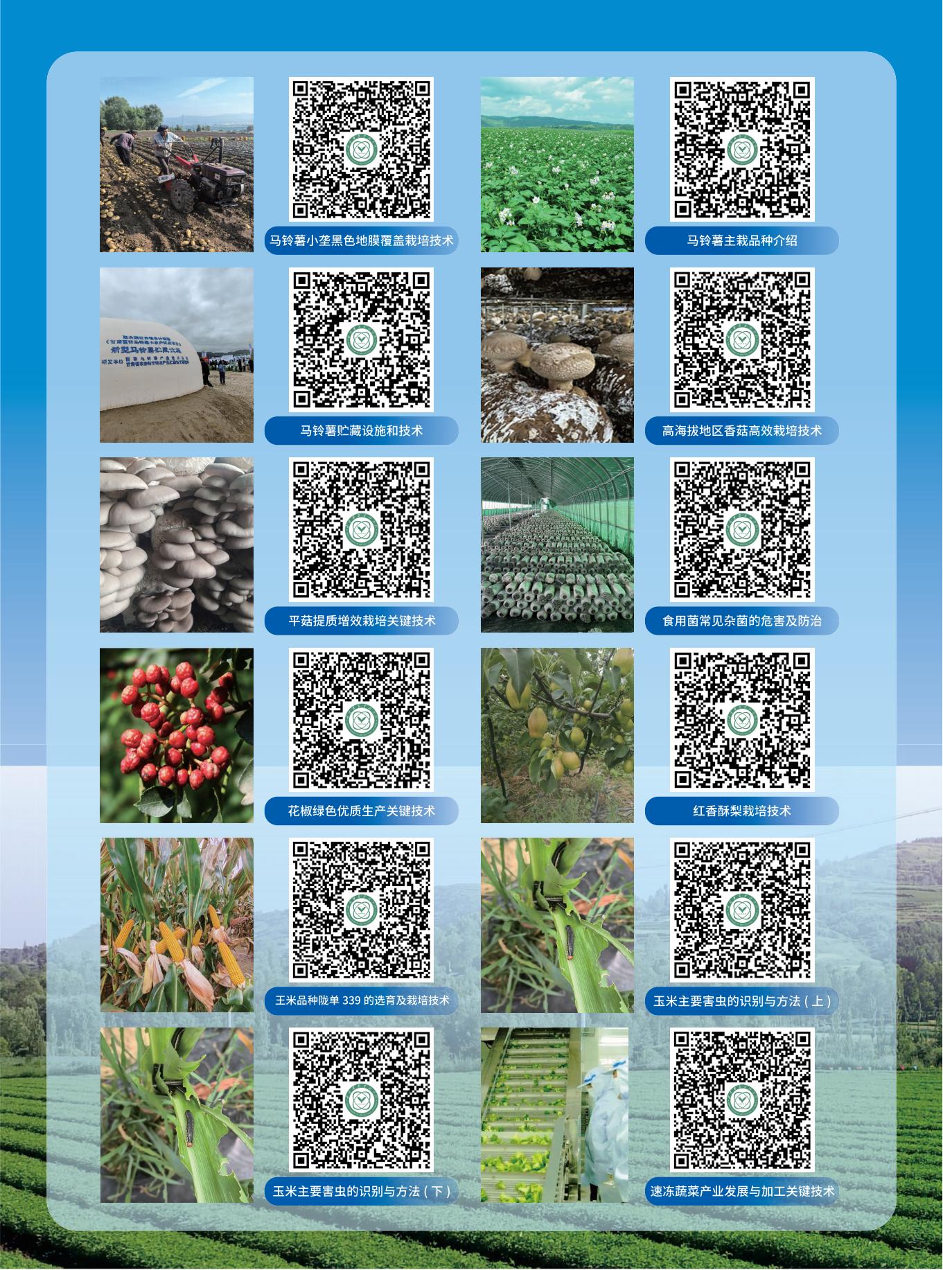 内部绝密信封料39