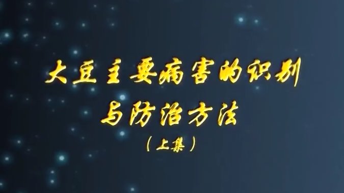 大豆主要病害的识别与防治(1)