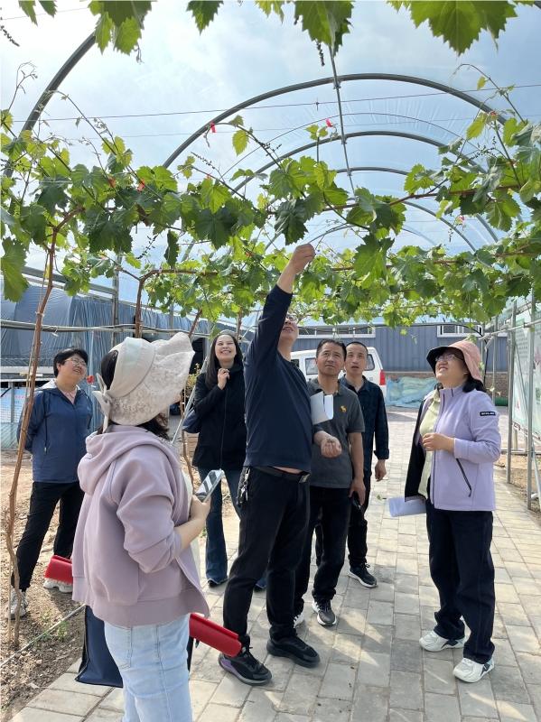 内部绝密信封料39