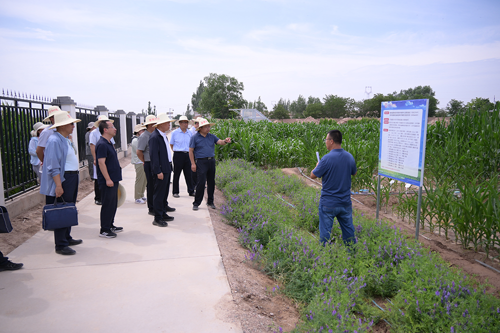 内部绝密信封料39