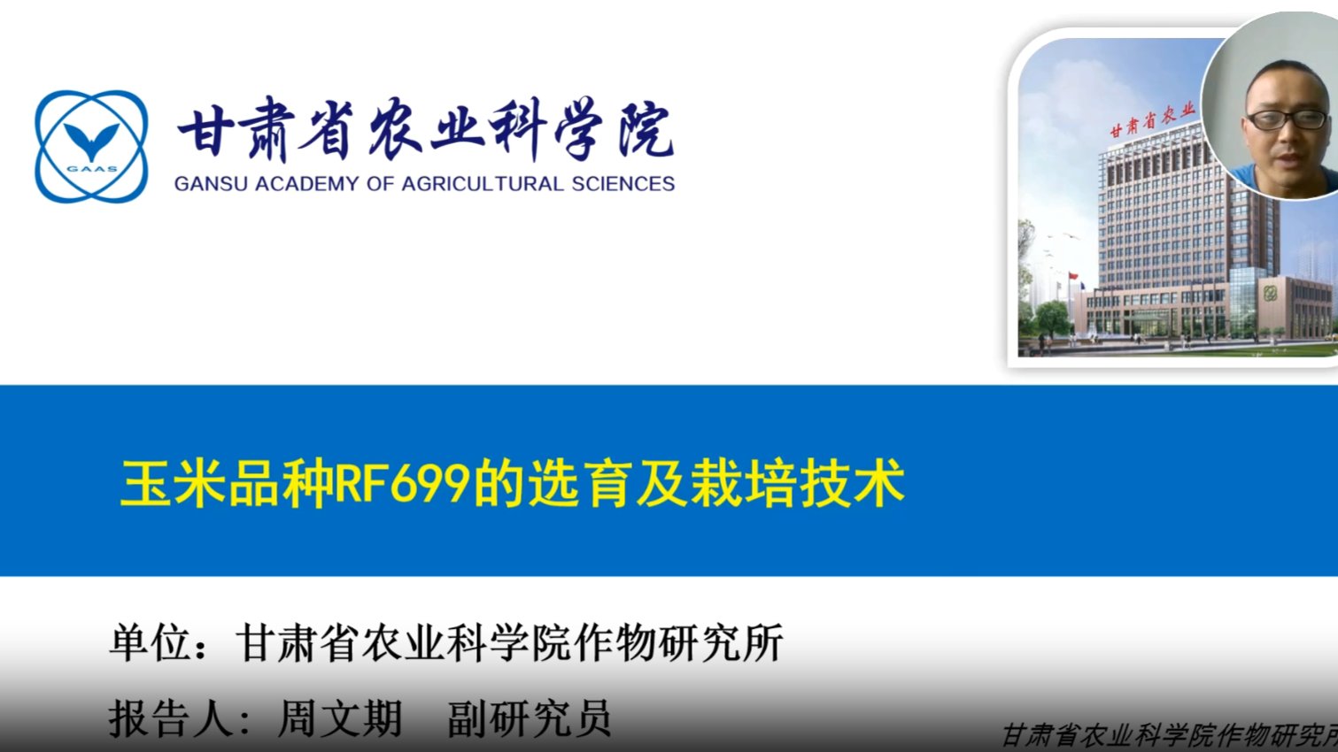 玉米品种RF699的选育及栽培技术