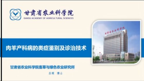 肉羊产科病的类症鉴别及诊治技术