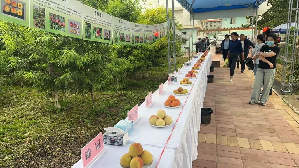 内部绝密信封料39