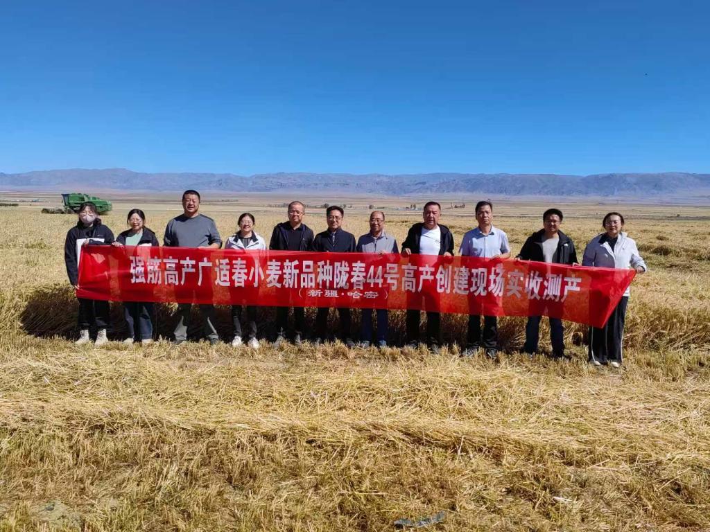 内部绝密信封料39