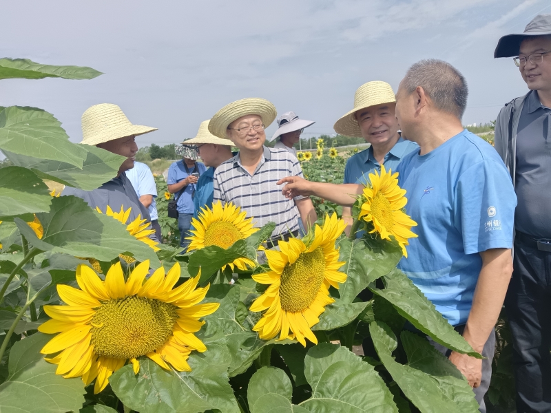 内部绝密信封料39