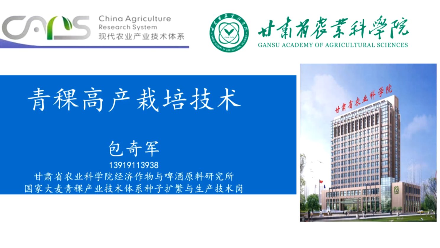 青稞高产栽培技术