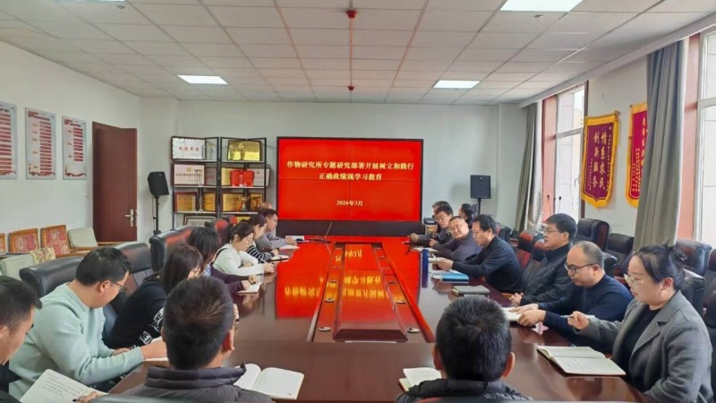 内部绝密信封料39