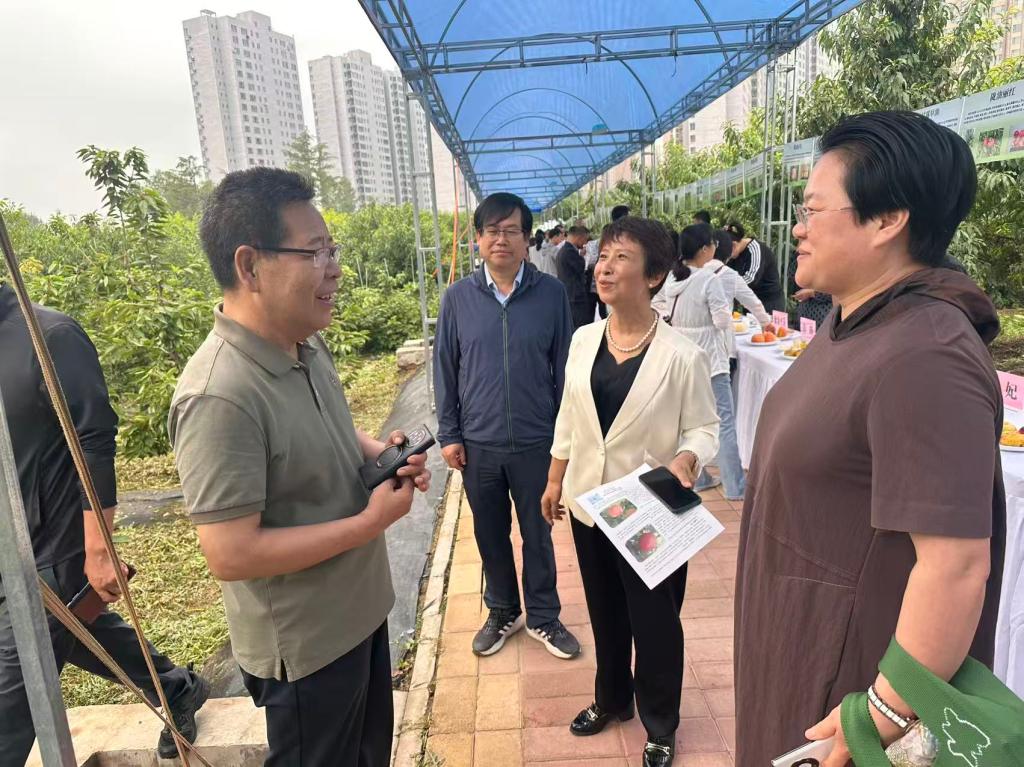 内部绝密信封料39