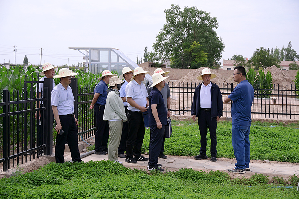 内部绝密信封料39