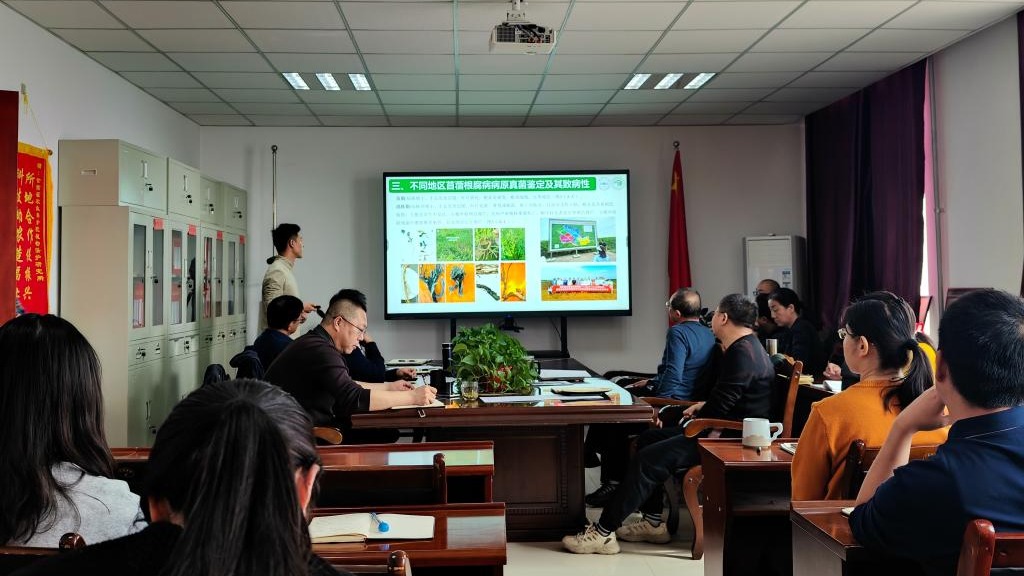 内部绝密信封料39