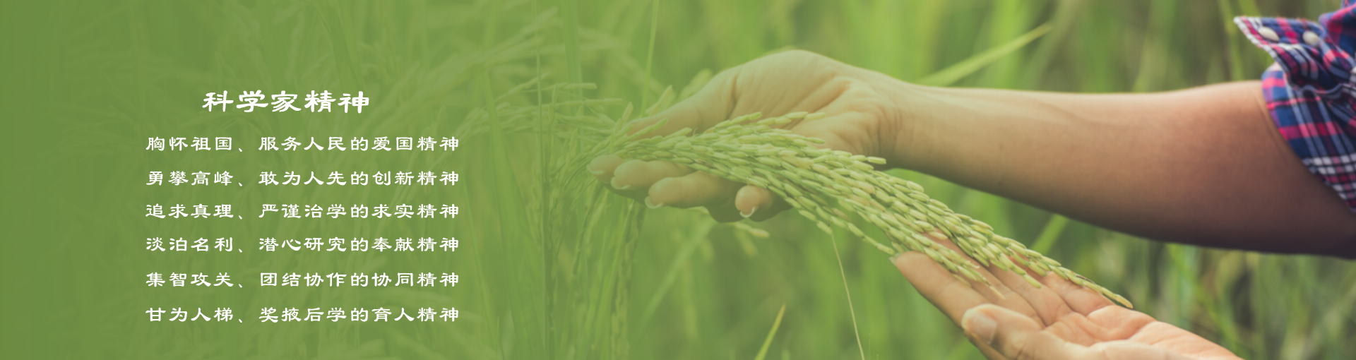 内部绝密信封料39