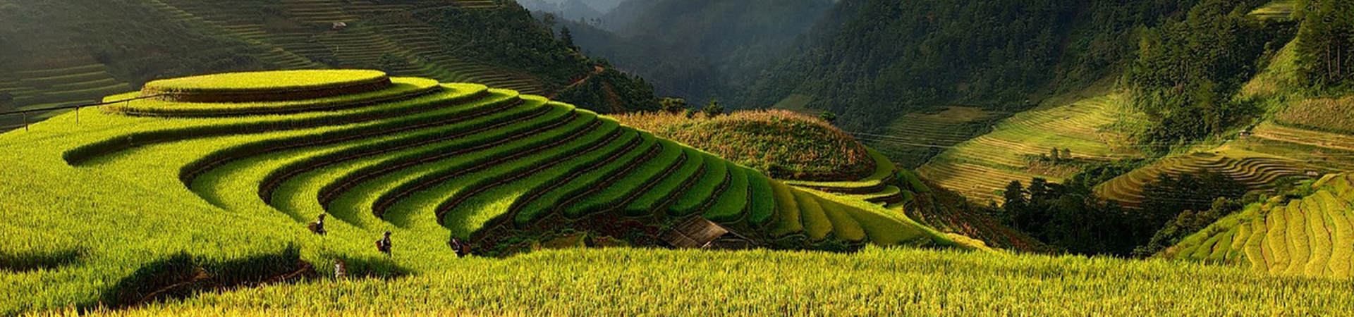 内部绝密信封料39