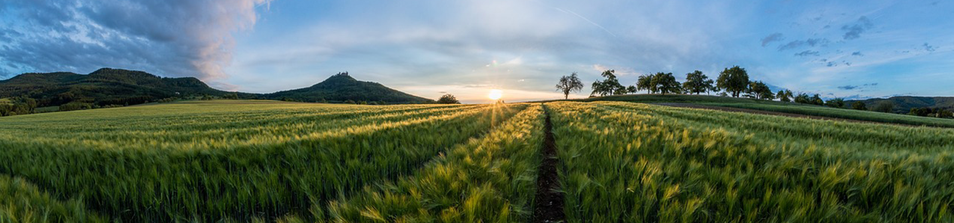 内部绝密信封料39